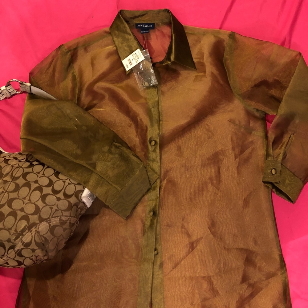 Gold Ann Taylor Blouse